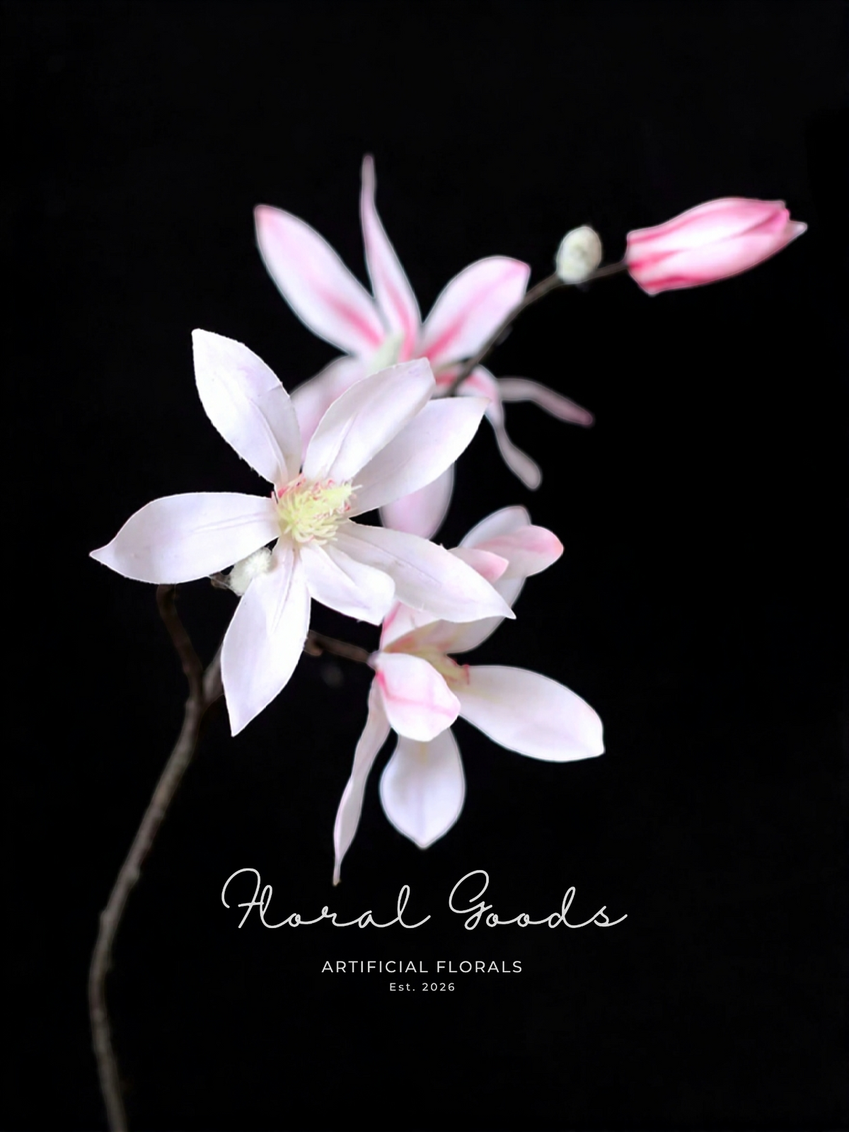 Star Magnolia Branch – 39"