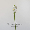 Classic Stock Flower Stem – 21"