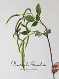 Trailing Amaranthus Stem – 31.5”