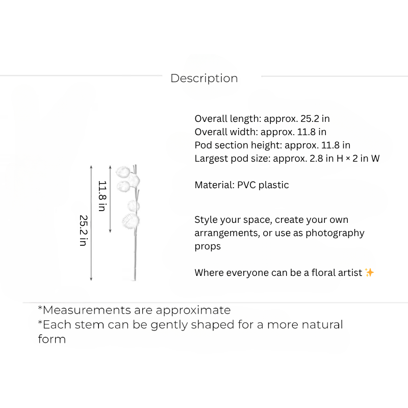 Textural Pod Branch – 25"