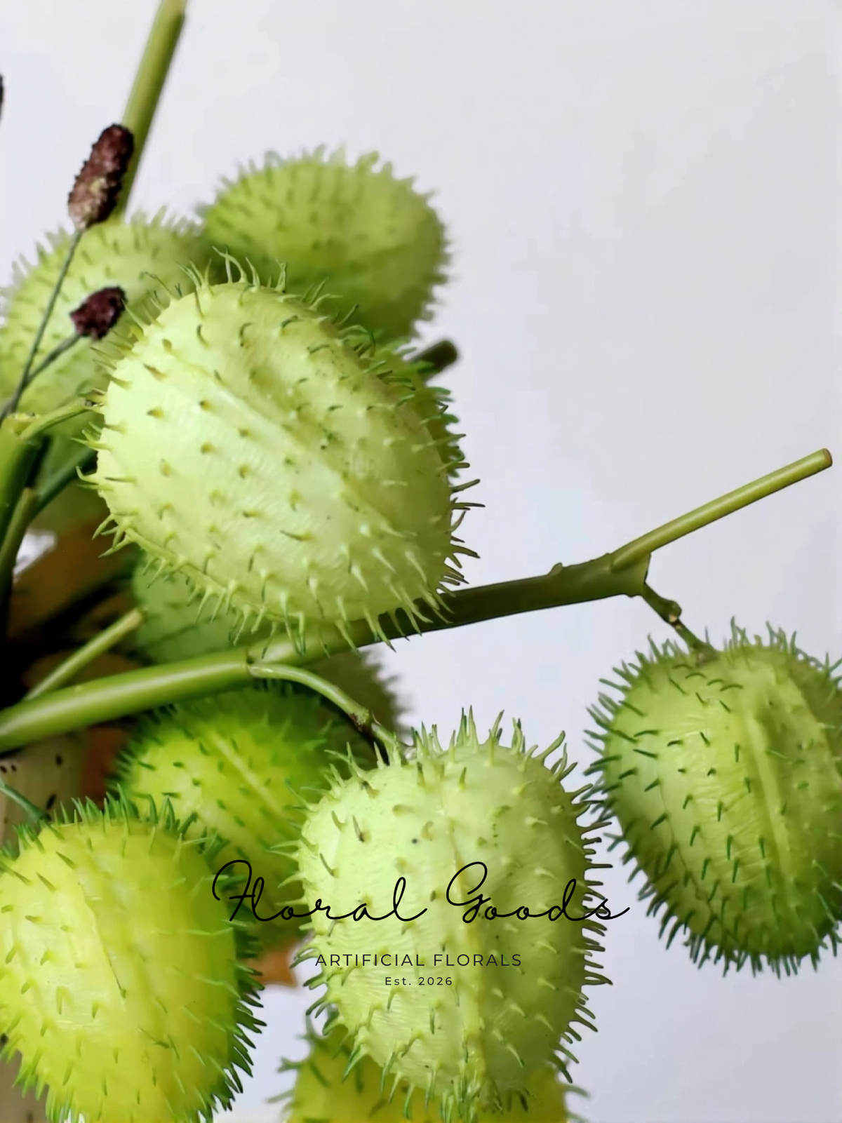 Textural Pod Branch – 25"