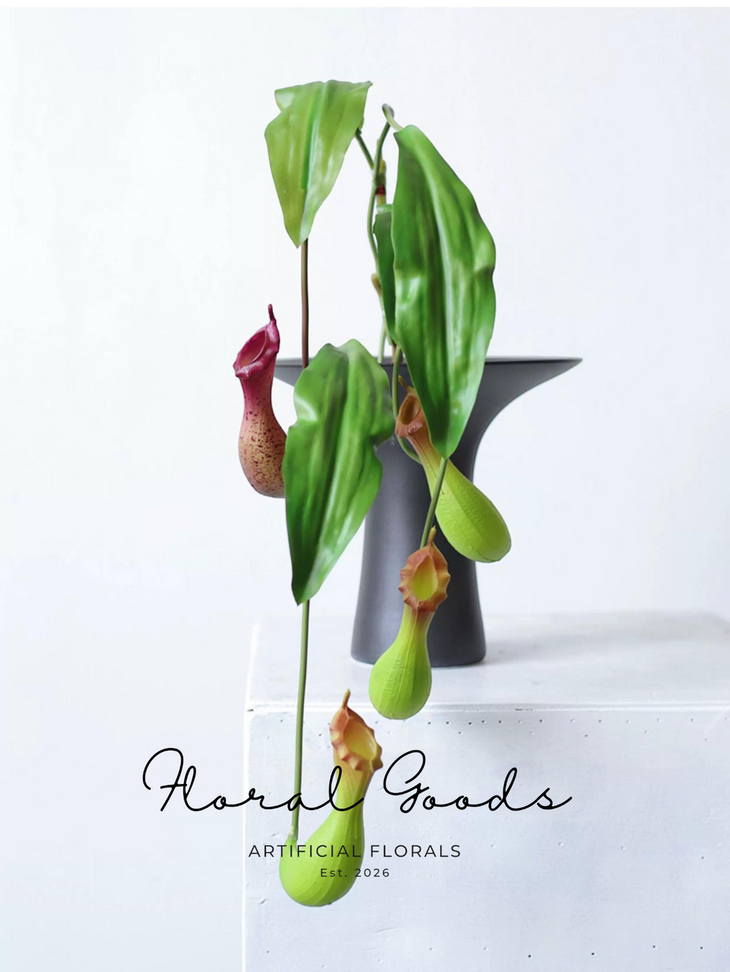 Tropical Pitcher Plant Stem – 29.5"