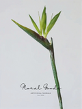 Tropical Paradise Flower Stem – 31.5"