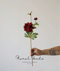 Velvet Burgundy Dahlia Stem – 24.4"