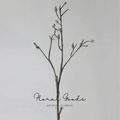 Velvet Magnolia Bud Branch – 36.6"
