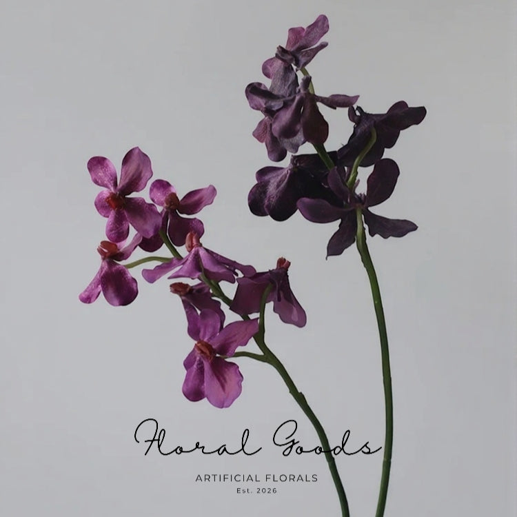 Velvet Vanda Orchid Stem – 24"