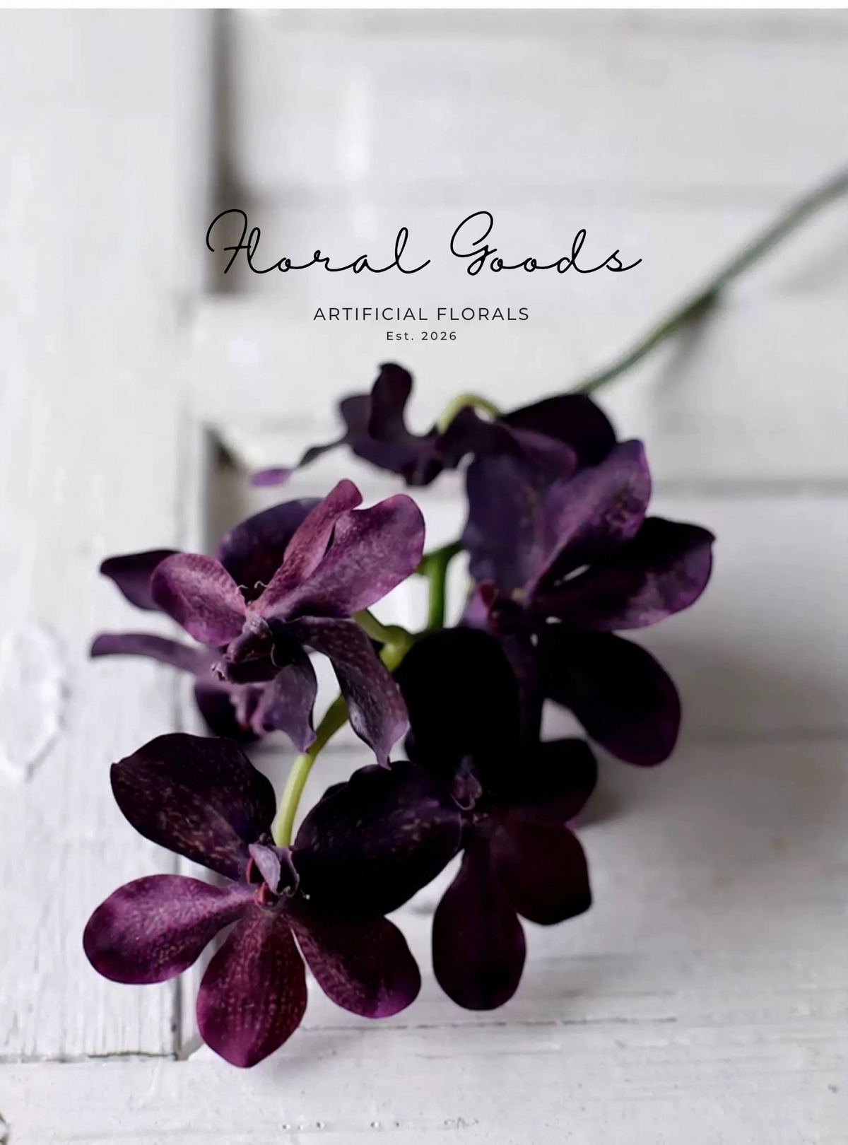 Velvet Vanda Orchid Stem – 24"