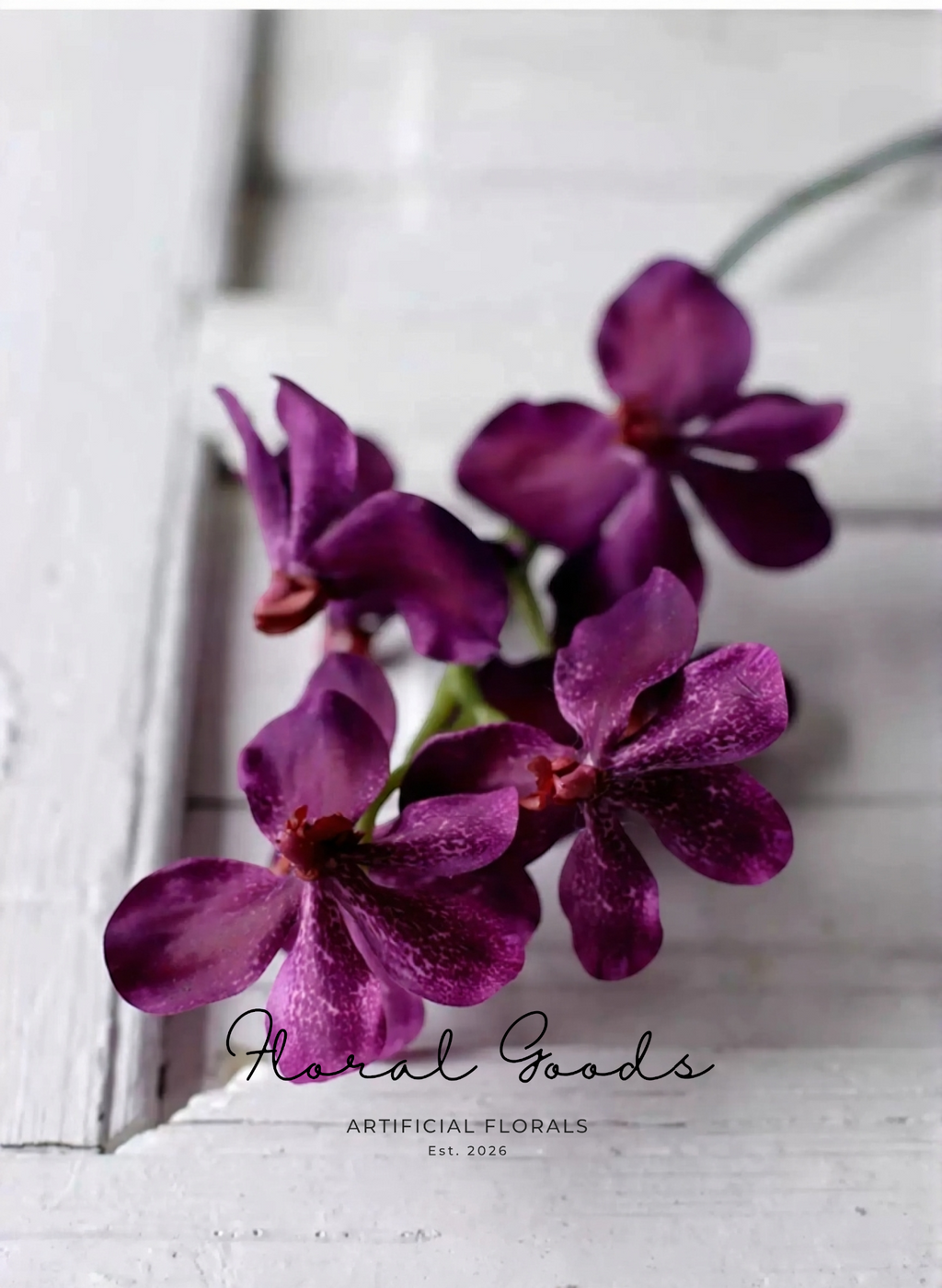 Velvet Vanda Orchid Stem – 24"