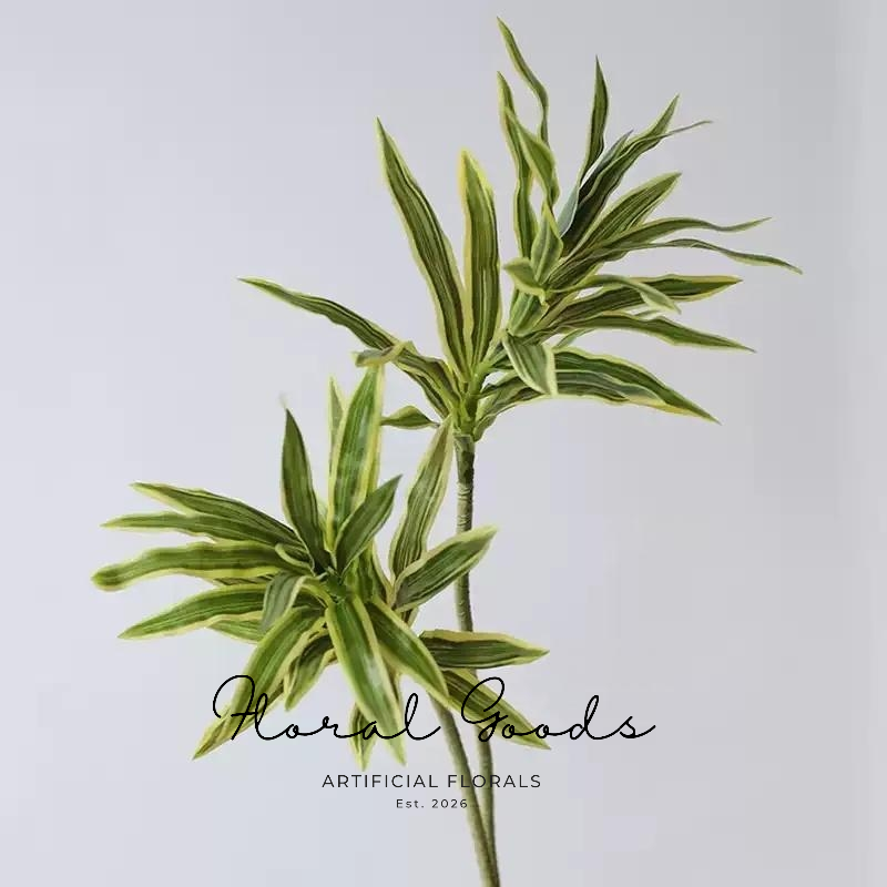 Variegated Dracaena Stem – 31.5"