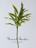Variegated Dracaena Stem – 31.5"