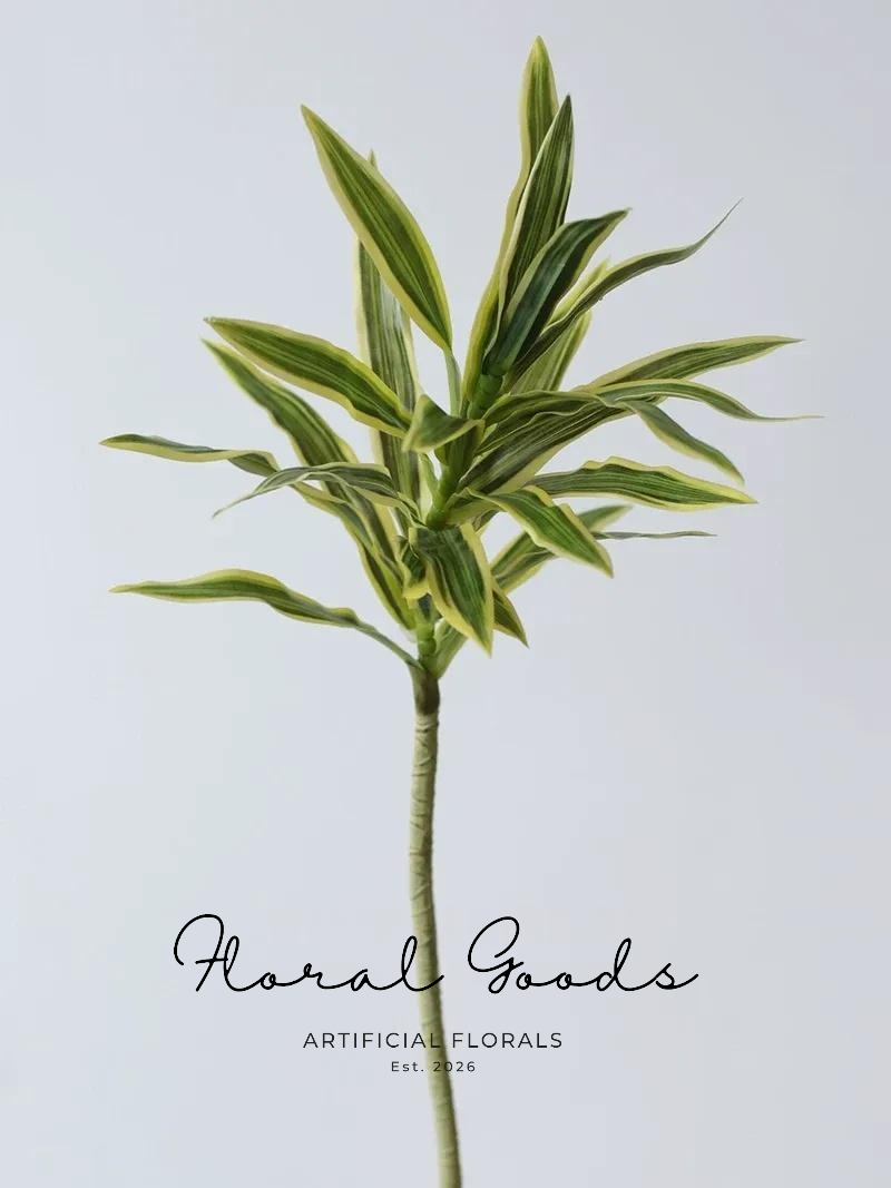 Variegated Dracaena Stem – 31.5"