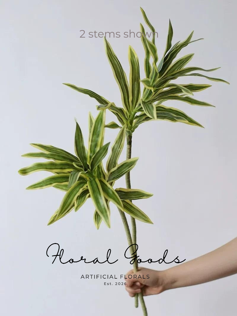 Variegated Dracaena Stem – 31.5"