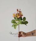Vintage Hellebore Stem – 18.5"
