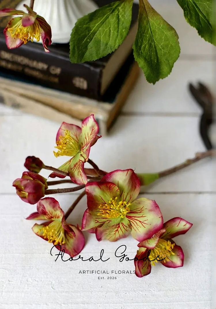 Vintage Hellebore Stem – 18.5"