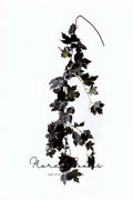 Moody Wine Grapevine Garland – 59"