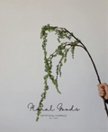 Weeping Berry Branch – 45"