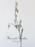 Wild Catkin Branch – 44.5"