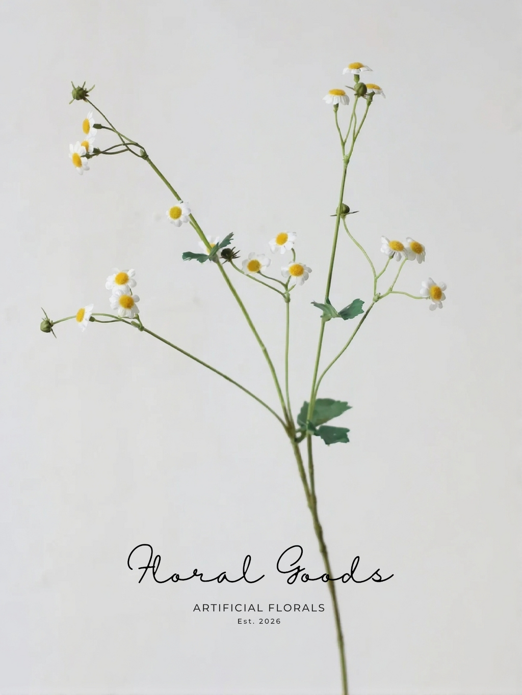 Wild Chamomile Stem – 28"
