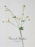 Wild Chamomile Stem – 28"