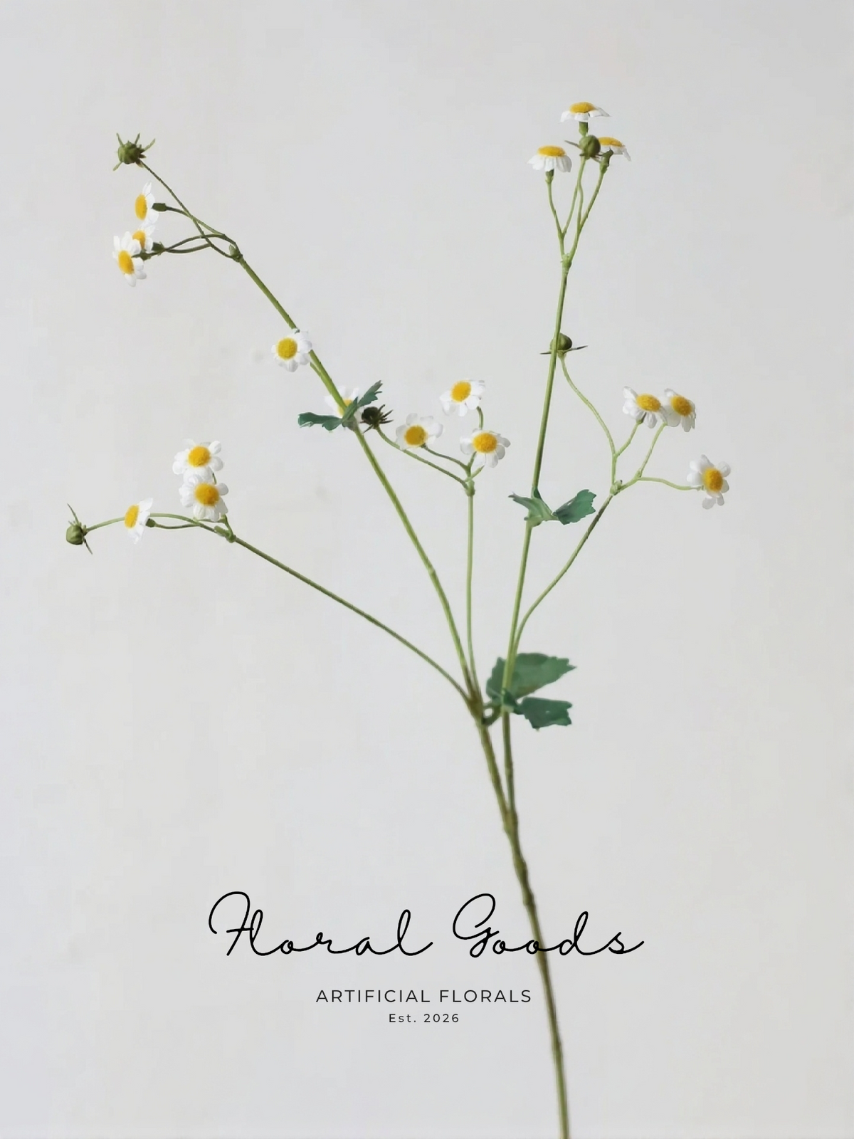 Wild Chamomile Stem – 28"
