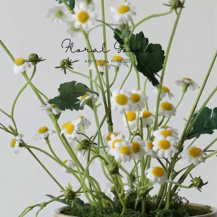Wild Chamomile Stem – 28"