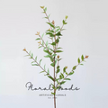 Wild Green Leaf Branch – 32"