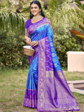 Sky blue Pochampally silk saree with matching blouse fabric displayed on a neutral background
