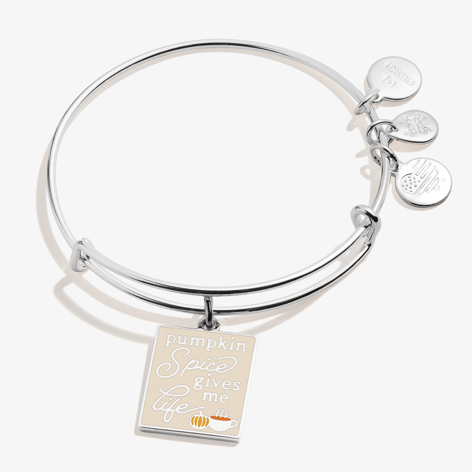 Alex And Ani Pumpkin Spice charm bangle featuring a fall-themed charm on a gold-tone wire bracelet.