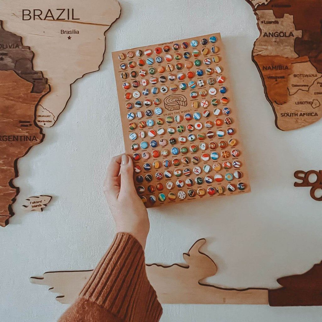 World Map Wall Art Set with Flag Push Pins in Brown Tan Beige