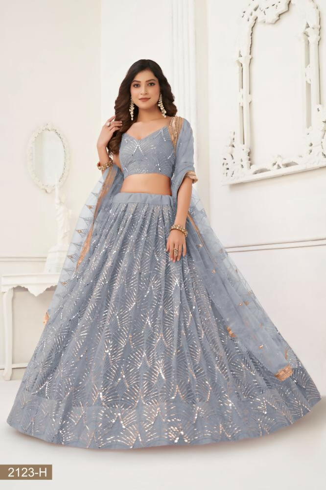 Light Gray Butterfly Net Lehenga with Mirror and Sequence Work
