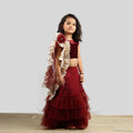 Pink velvet choli paired with a maroon net ghagra and a gold-frilled net dupatta.