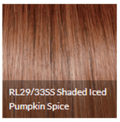 Dress Rehearsal Women’s Natural Look Wig - Blonde and Brown Shades