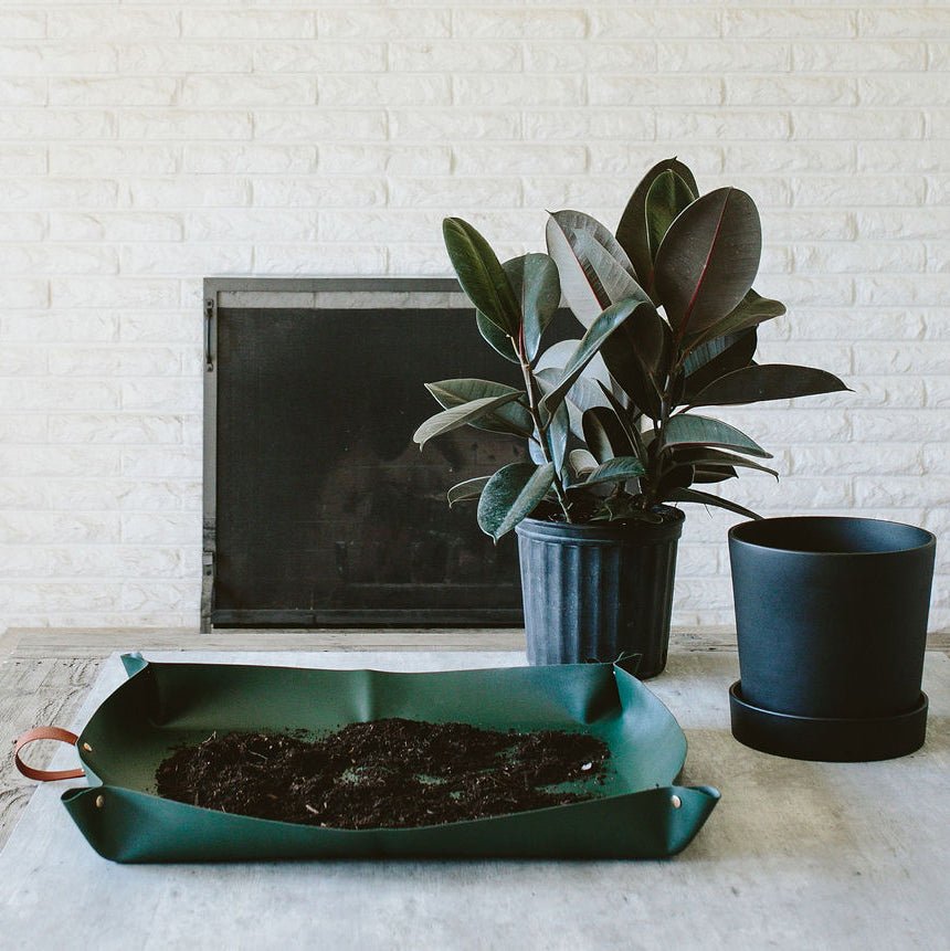 Repotting Mat | Durable Eco-Friendly Plant Care Mat | House Plant Shop
