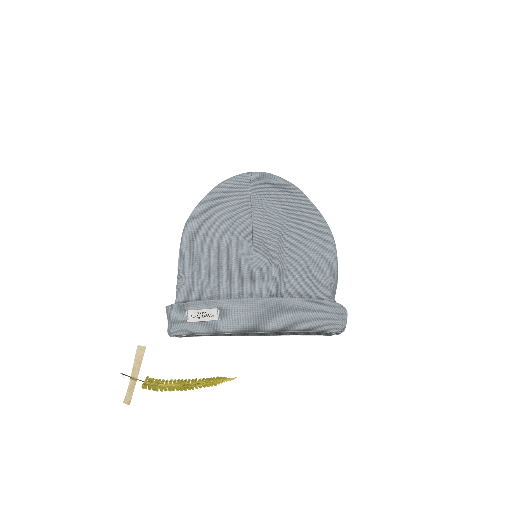 The Hat - Ocean