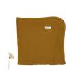 The Blanket - Cider