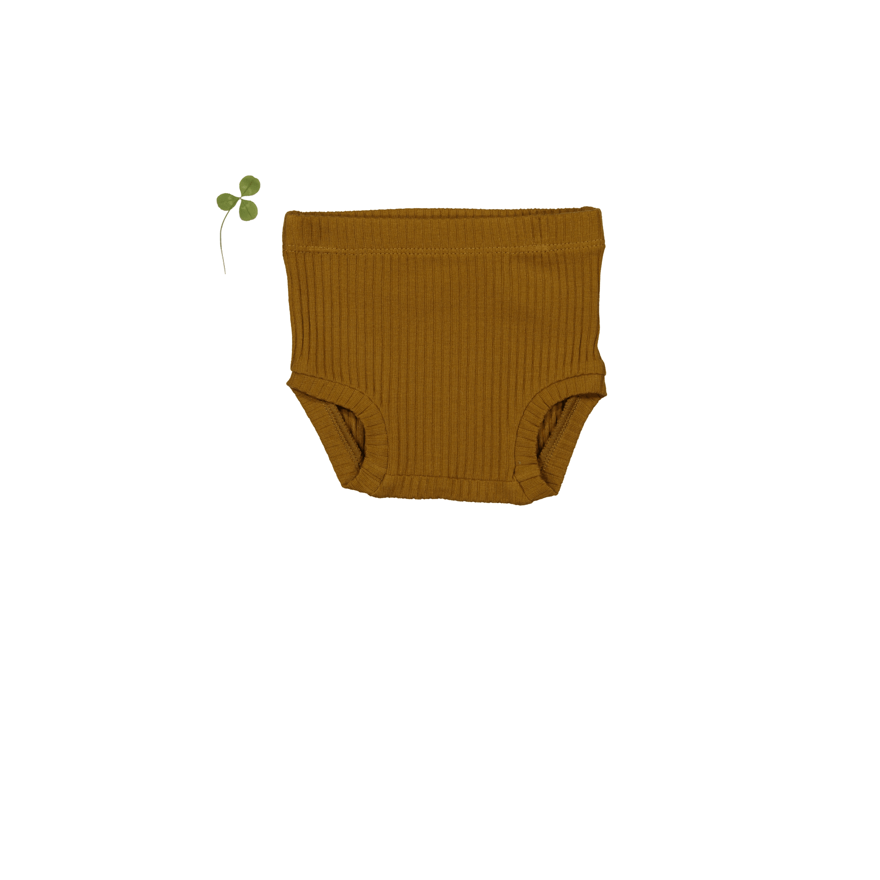 The Bloomer - Cider