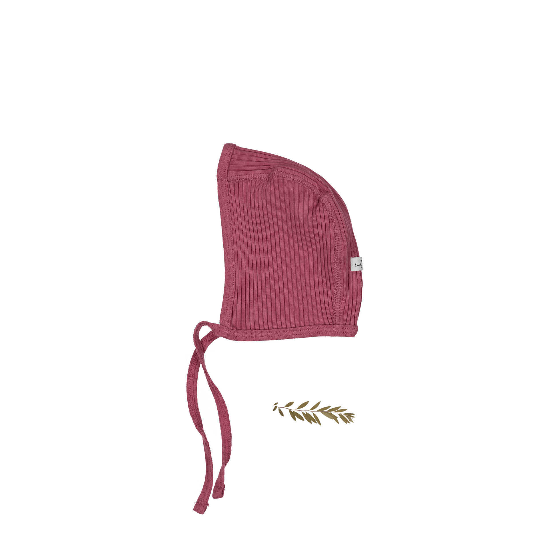 The Bonnet - Raspberry