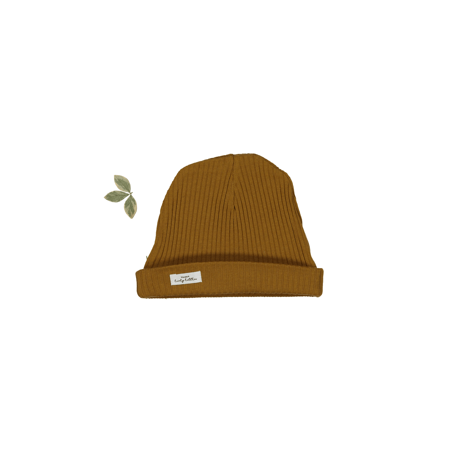 The Hat - Cider