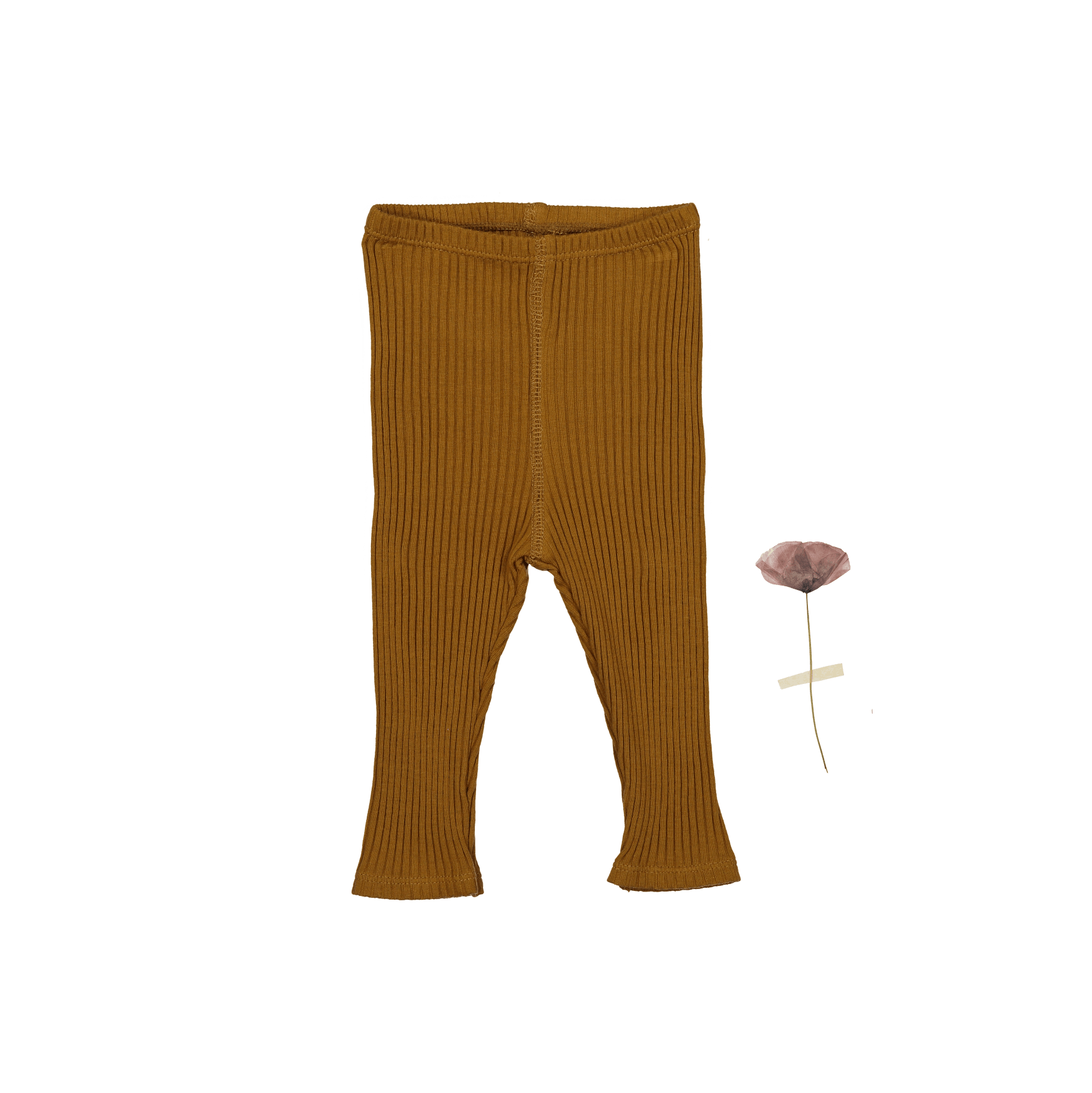 The Legging - Cider
