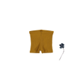 The Short - Cider