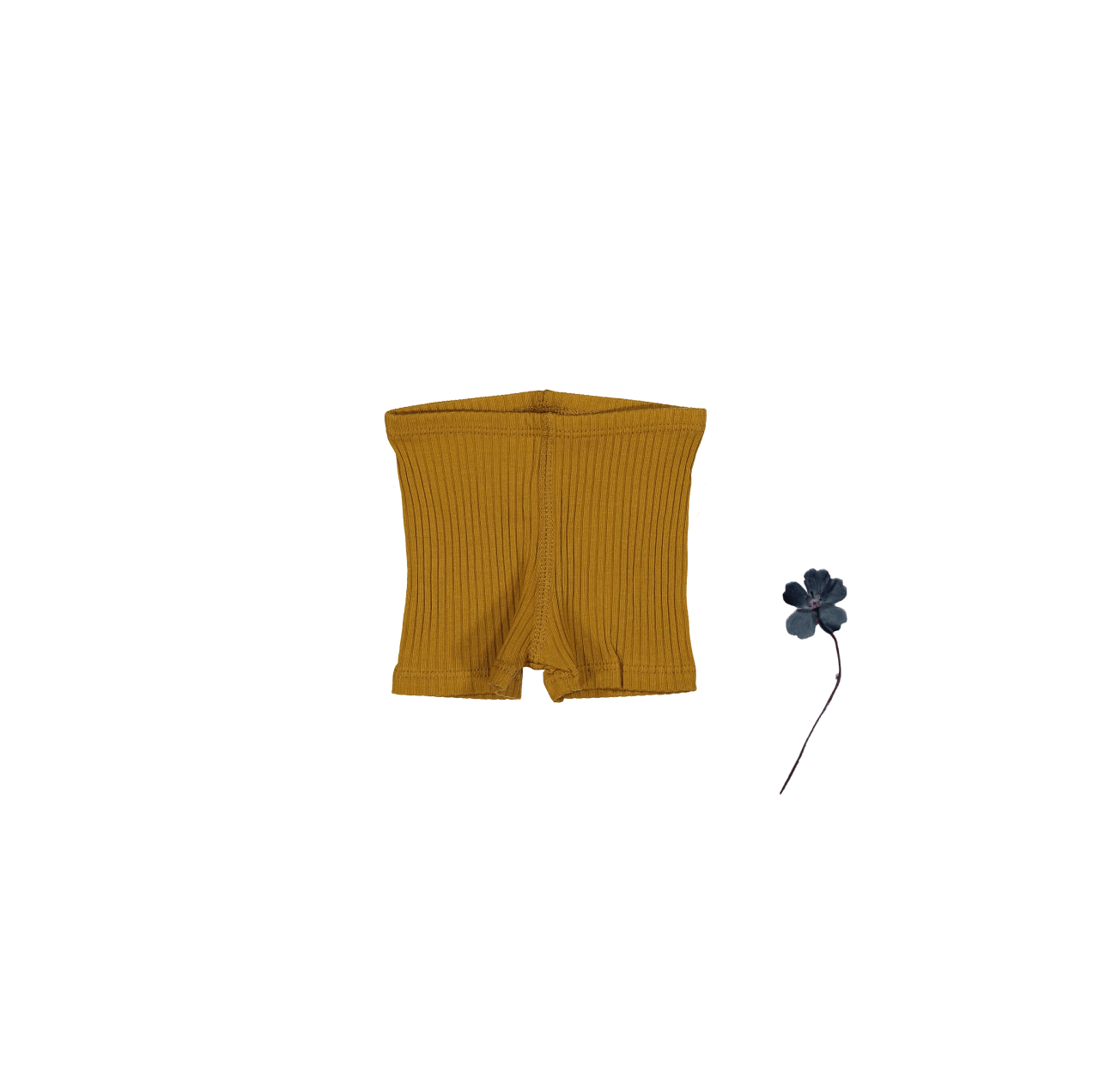 The Short - Cider