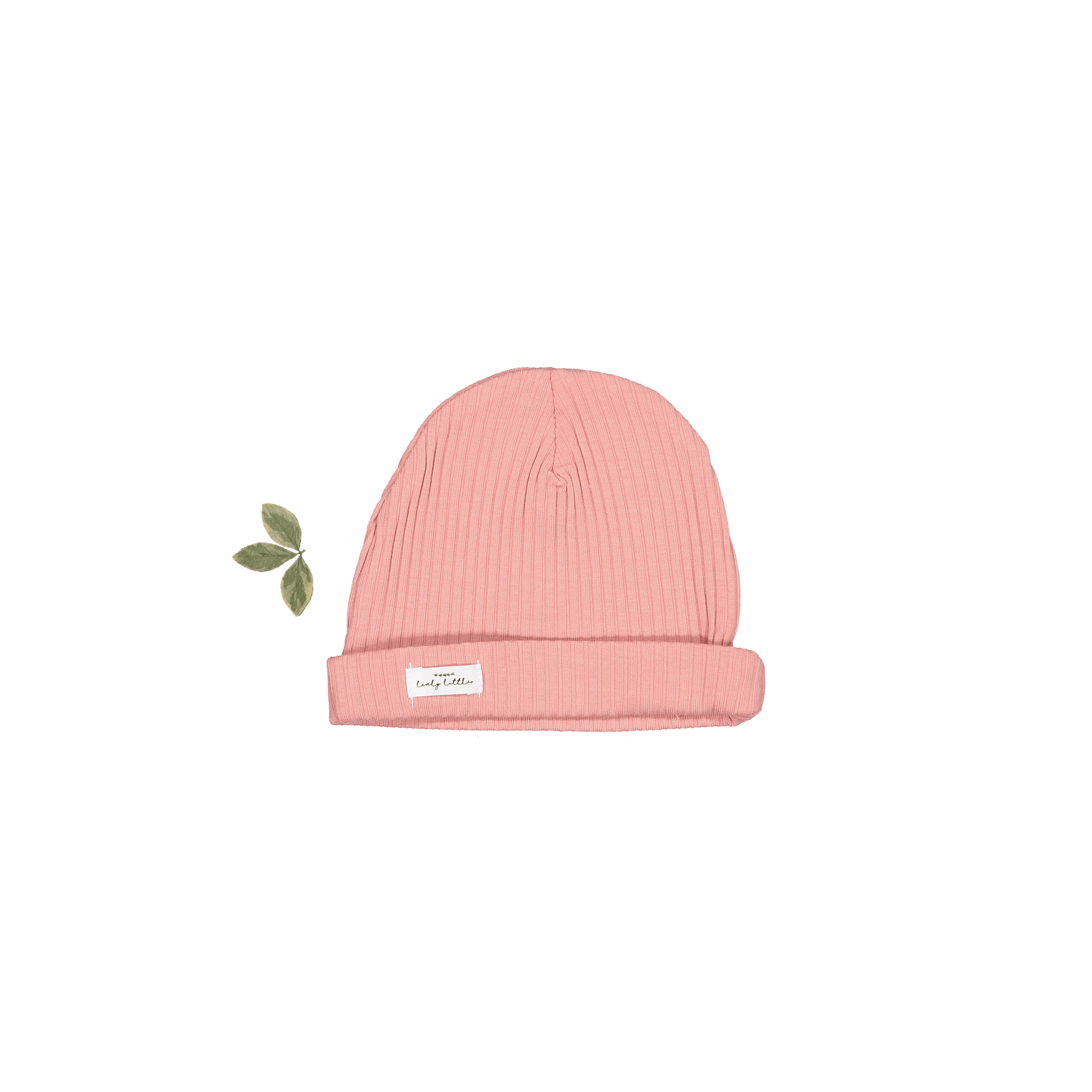 The Hat - Rose