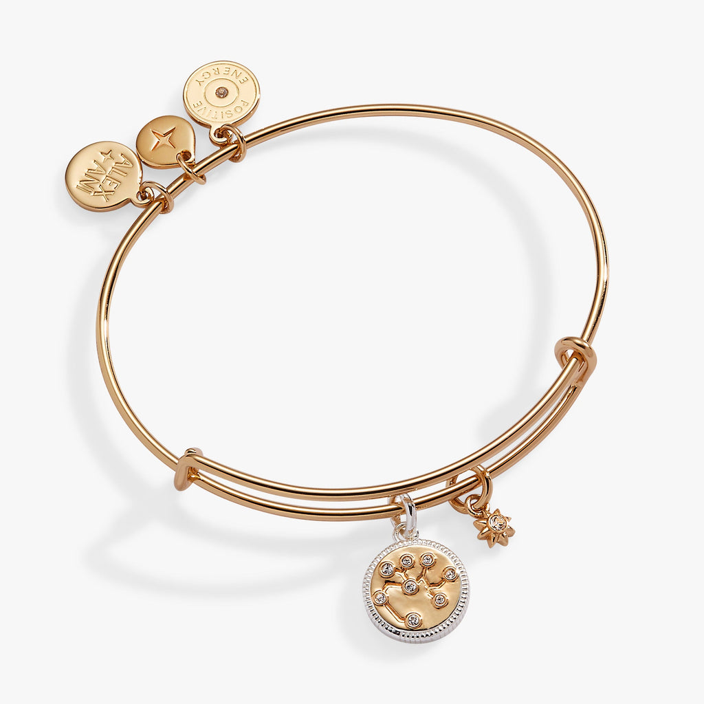 Two-tone Sagittarius zodiac bangle with crystal constellation charm and engraved fire element detail.