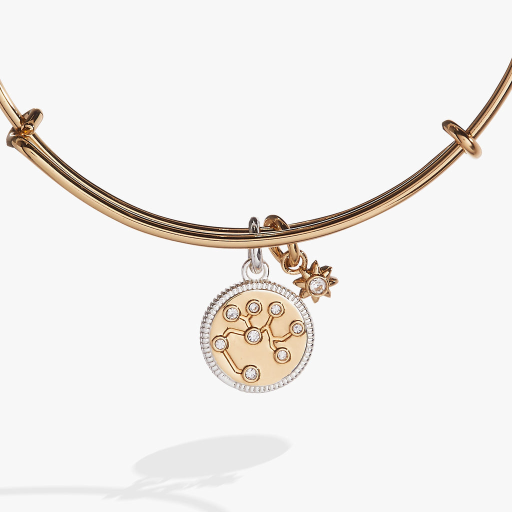 Sagittarius Zodiac Charm Bangle with Crystal Constellation