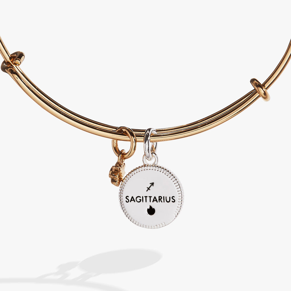 Sagittarius Zodiac Charm Bangle with Crystal Constellation