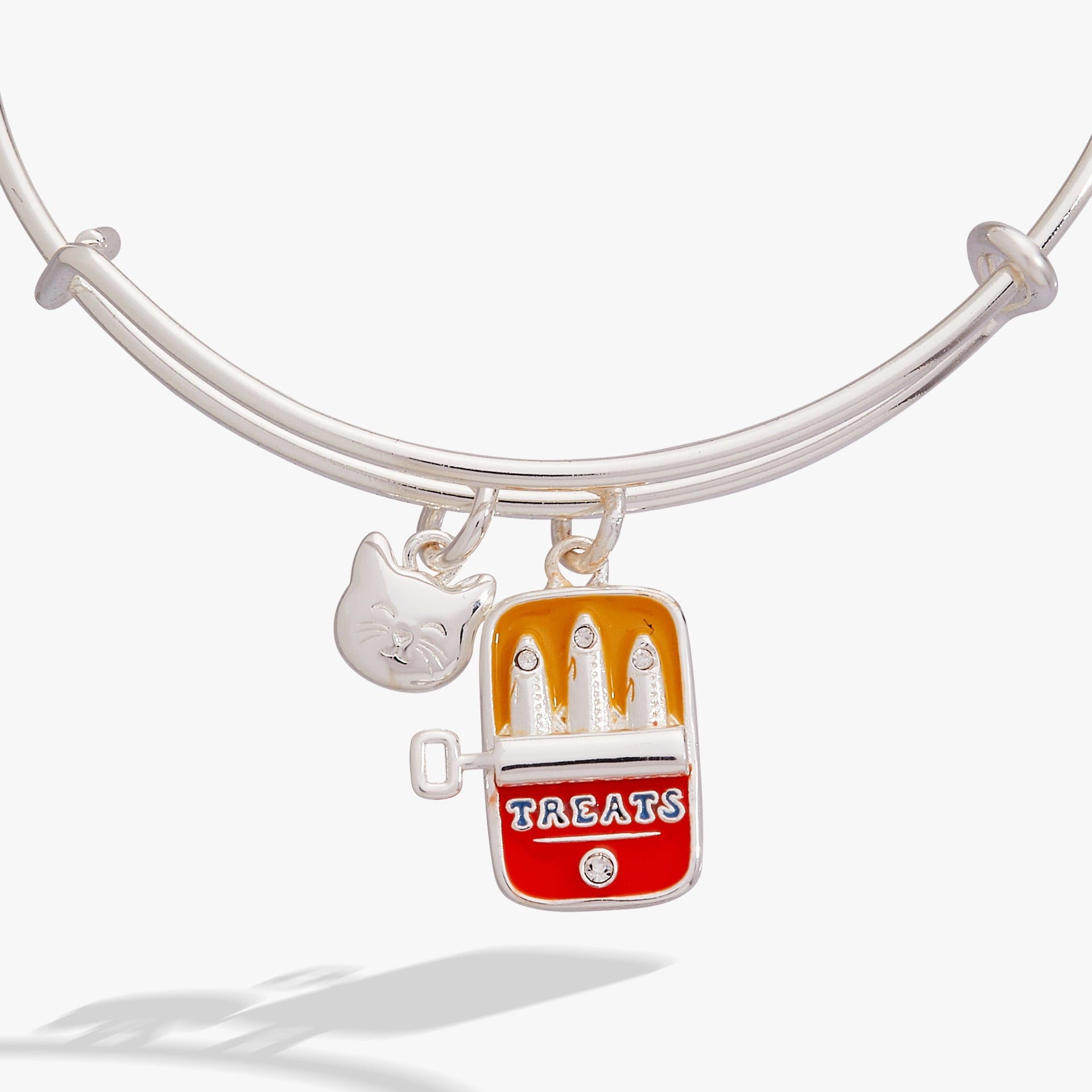 Cat & Sardine Tin Duo Charm Bangle in Silver