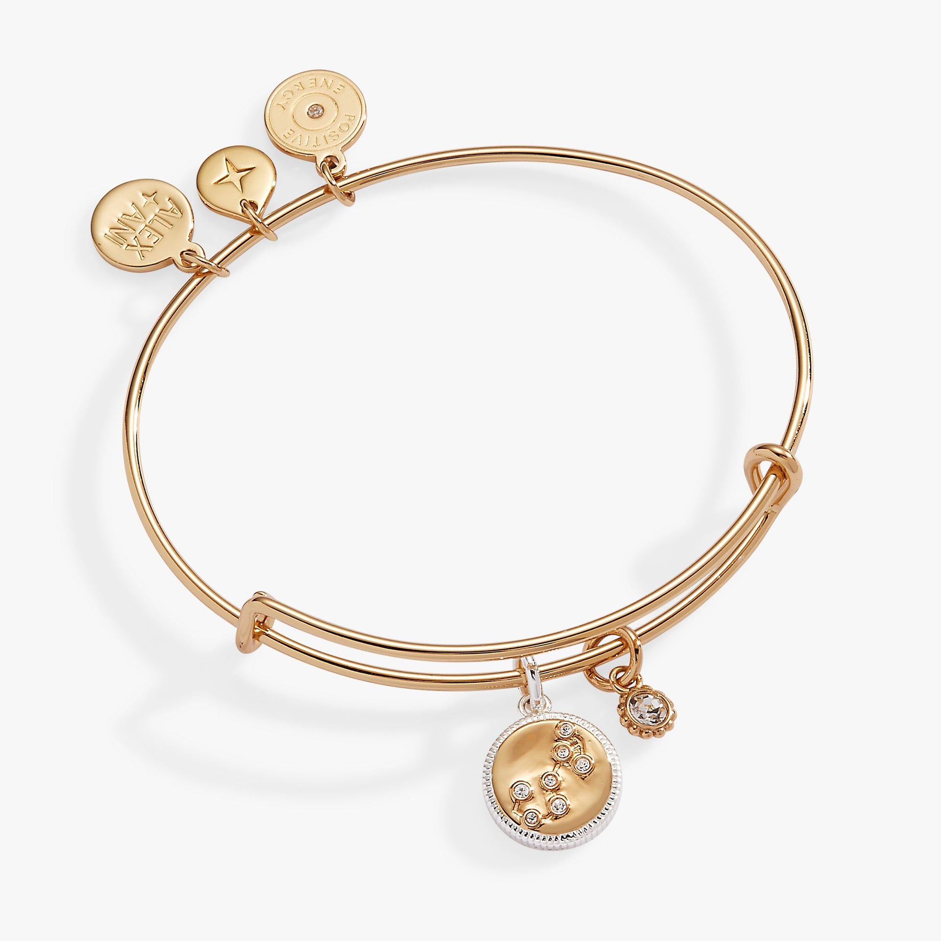 Two-tone Scorpio zodiac bangle featuring a crystal constellation charm and water element symbol.