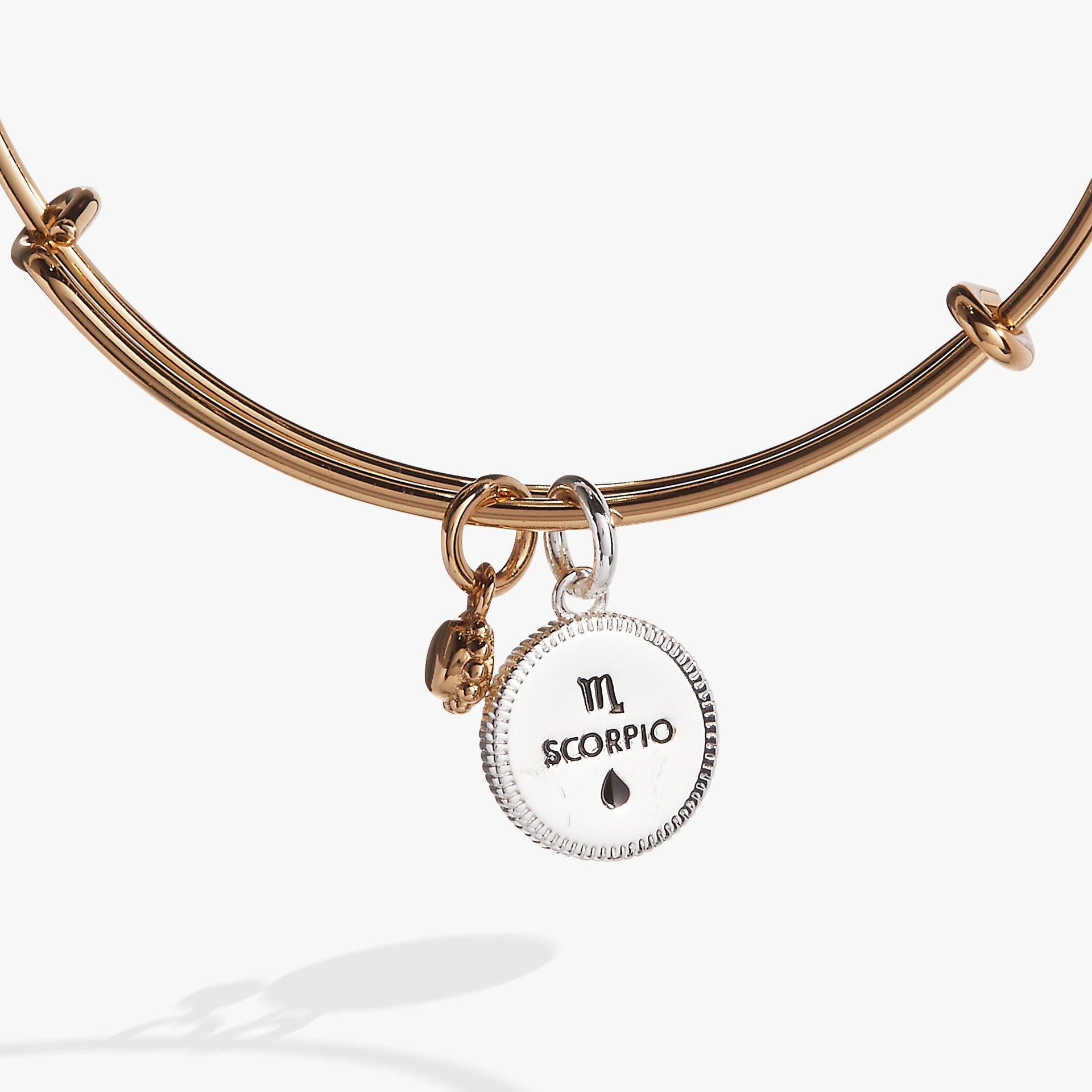Scorpio Zodiac Charm Bangle with Crystal Constellation Detail