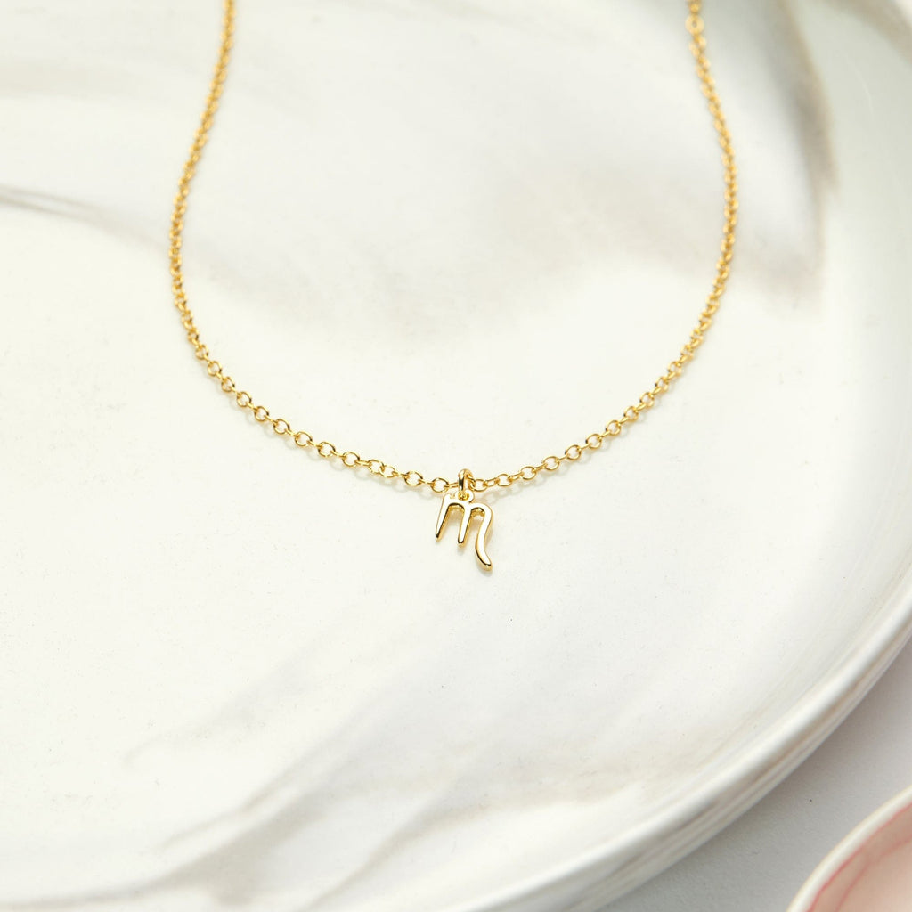 Scorpio Zodiac Gift Necklace