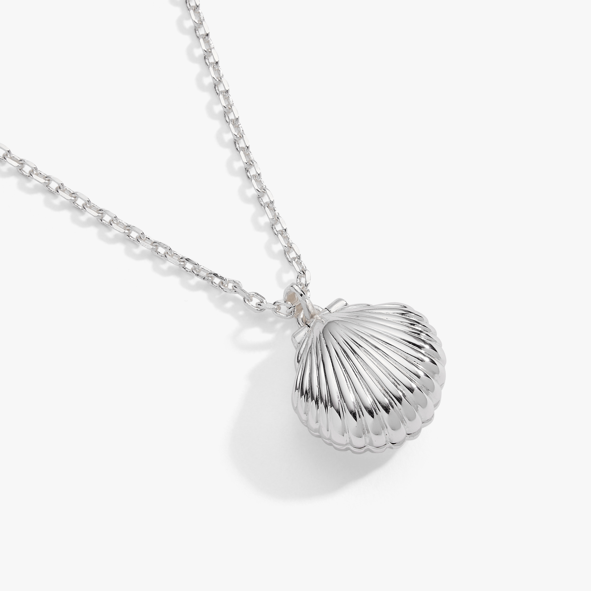 Seashell Locket Pendant with Pearl Accent and Hidden Message